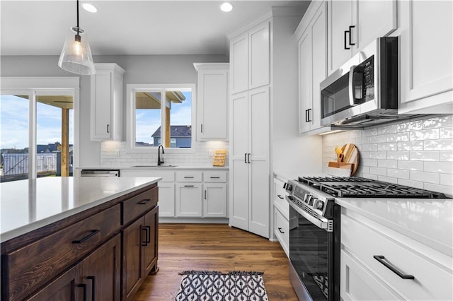 kitchen with white cabinets, appliances with stainless steel finishes, a wealth of natural light, and dark brown cabinets