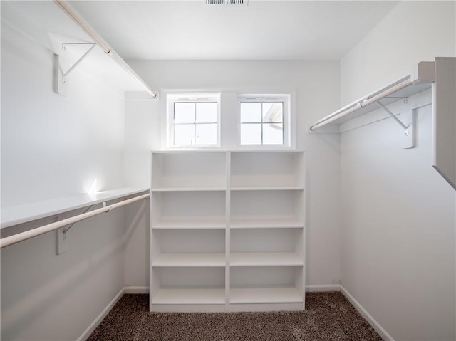 spacious closet with visible vents and carpet