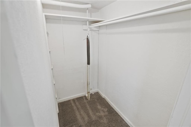 walk in closet with dark colored carpet