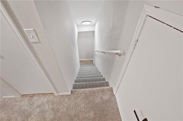 stairway with carpet