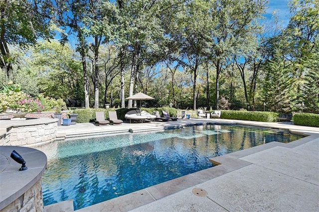 view of swimming pool featuring a patio