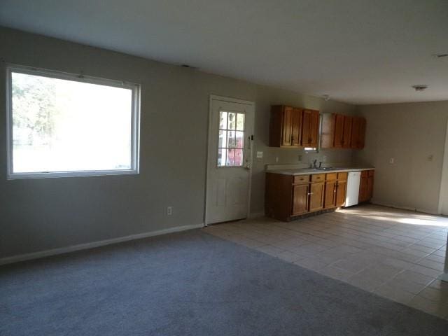 kitchen featuring white dishwasher, sink, and light colored carpet