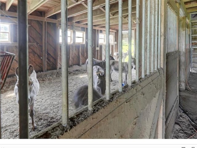 view of horse barn