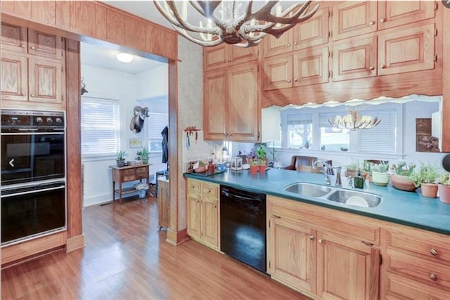 kitchen featuring a notable chandelier, black appliances, sink, and light wood-type flooring