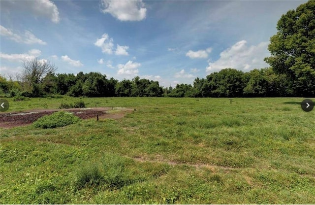 view of yard with a rural view