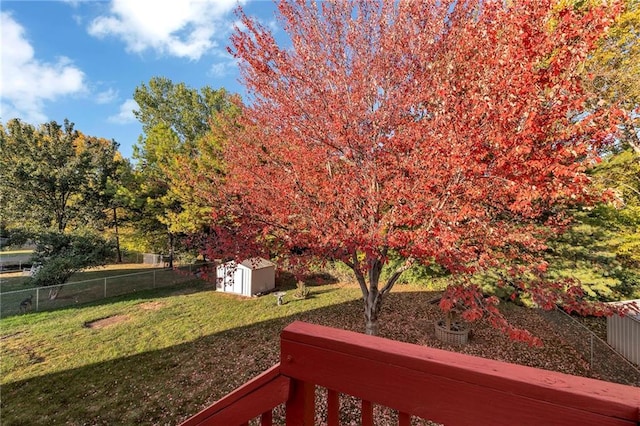 view of yard featuring a shed