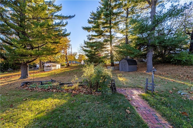 view of yard featuring a storage shed