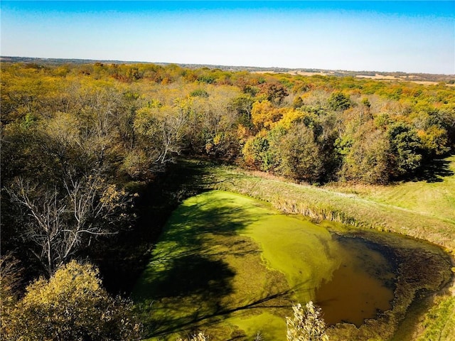 County Road 292nd Rd, Cosby, MO 64436 - photo 5