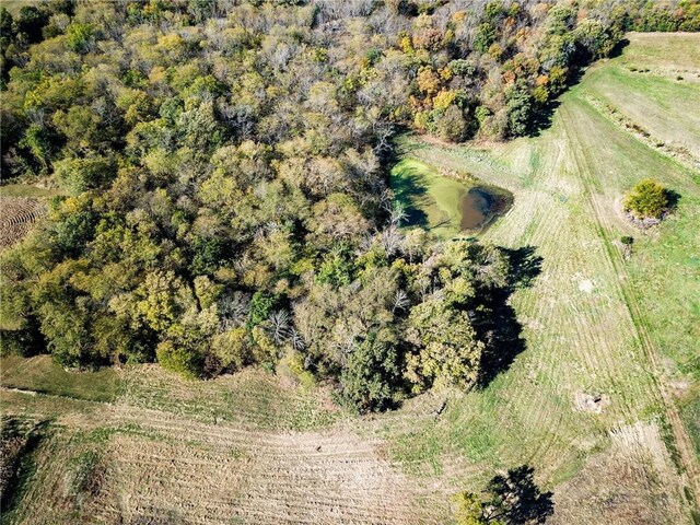 County Road 292nd Rd, Cosby, MO 64436 - photo 6