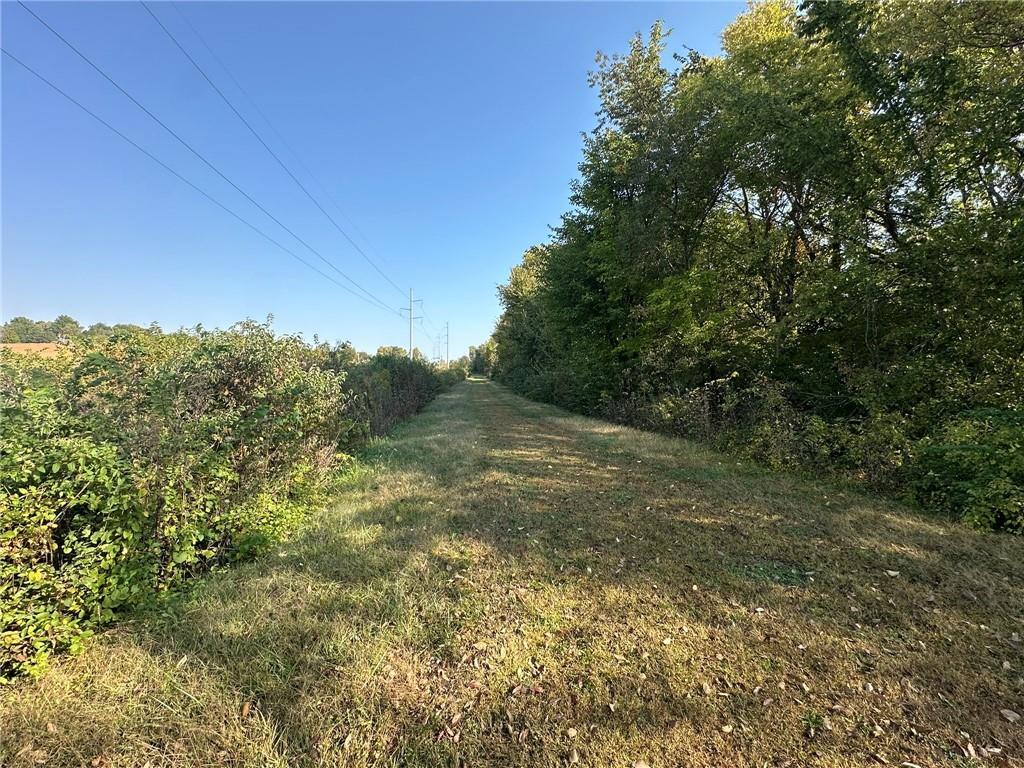 County Road 438th Rd, Country Club, MO 64505 - photo 3