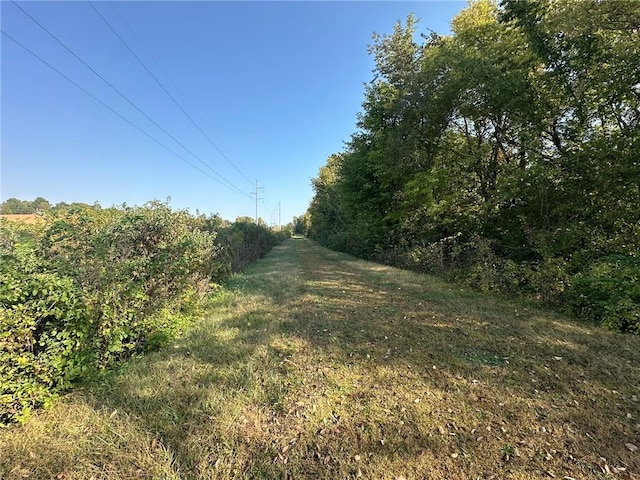 County Road 438th Rd, Country Club, MO 64505 - photo 3