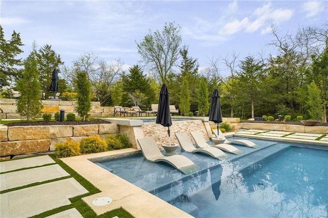 view of pool with a patio