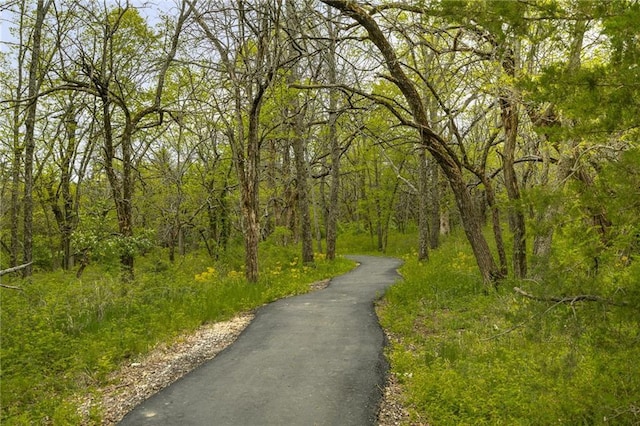 view of road