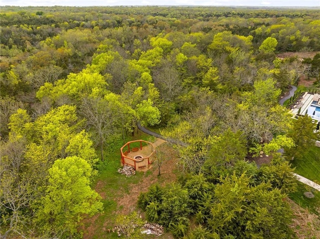 bird's eye view