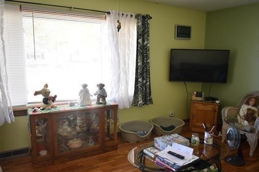 living room featuring hardwood / wood-style floors