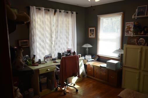 office space featuring ceiling fan and hardwood / wood-style floors