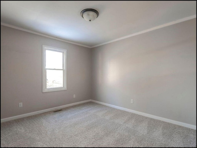 spare room featuring crown molding and carpet flooring