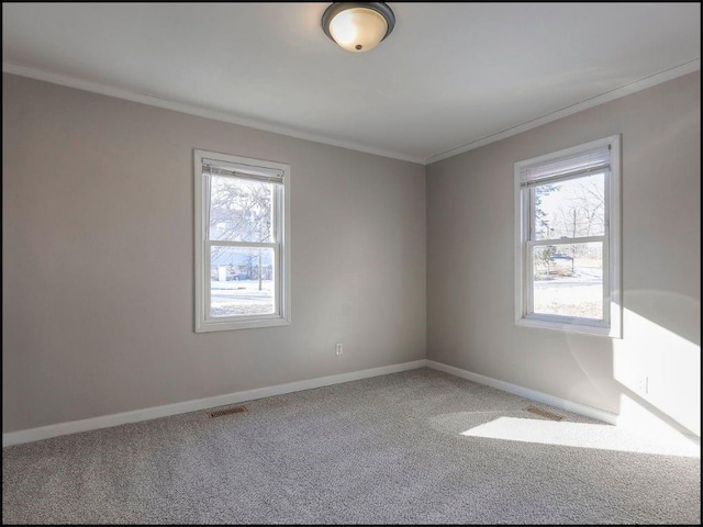 empty room with carpet floors, ornamental molding, and a healthy amount of sunlight