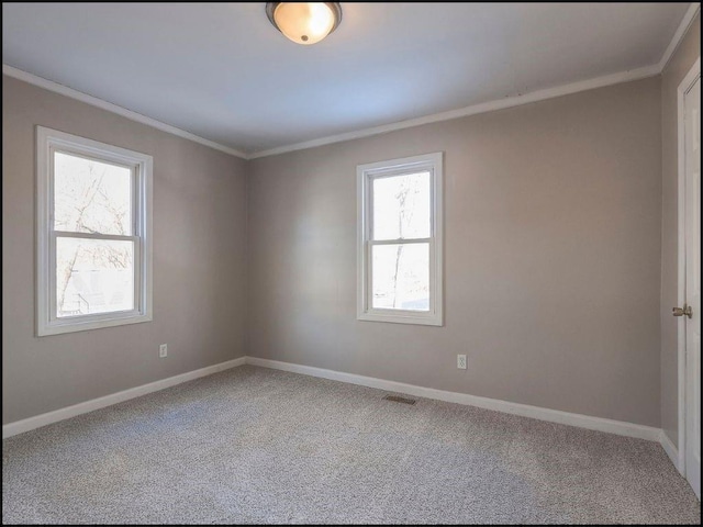 empty room featuring crown molding and carpet floors