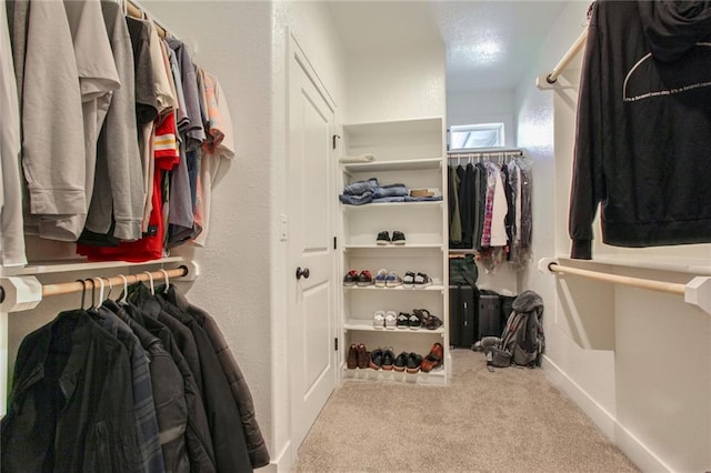 walk in closet featuring light colored carpet