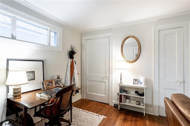 office area with crown molding and dark hardwood / wood-style floors