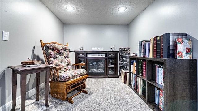 sitting room with carpet floors and a textured ceiling