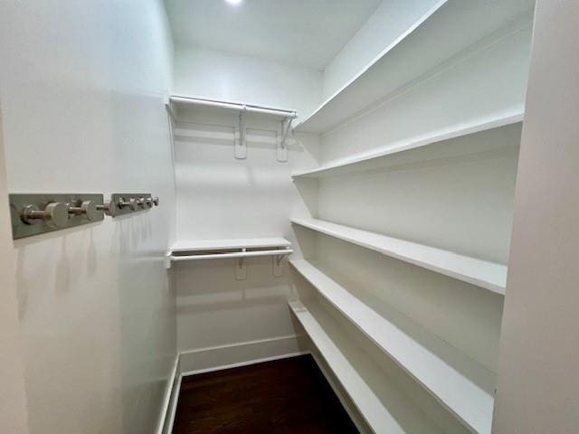 walk in closet featuring wood-type flooring