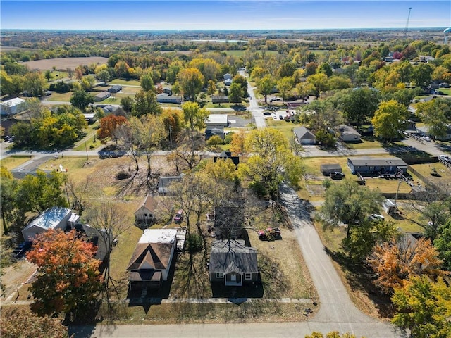 bird's eye view