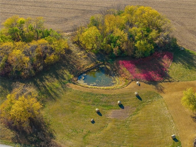 bird's eye view with a rural view and a water view