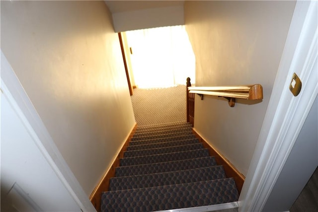 staircase featuring carpet