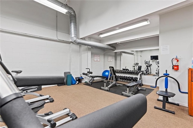 workout area featuring carpet flooring