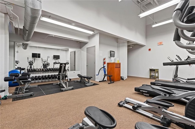 exercise room with carpet