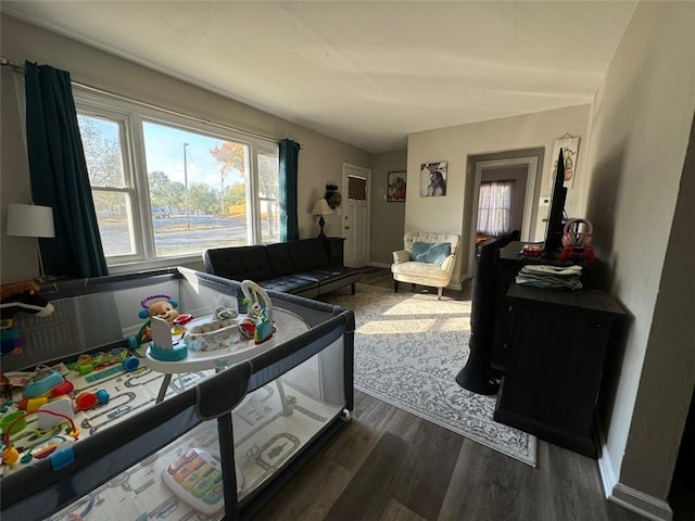 living room with dark wood-type flooring