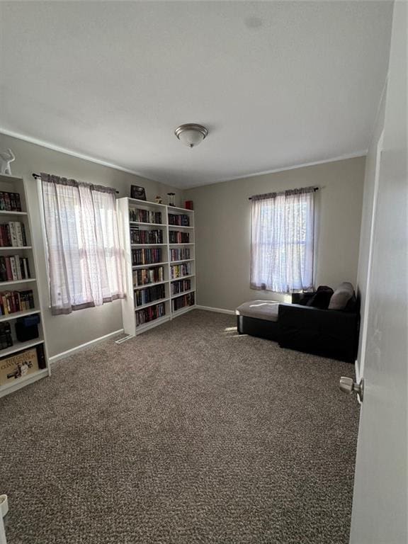 living area featuring carpet flooring