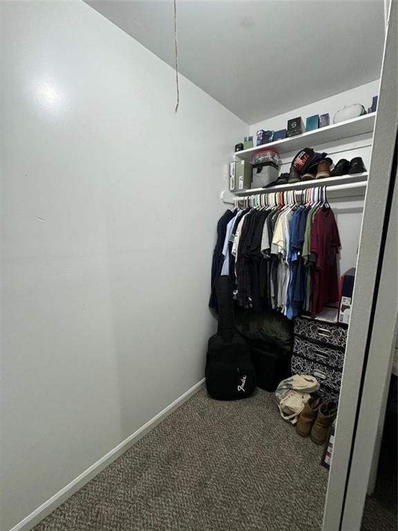 spacious closet with carpet floors