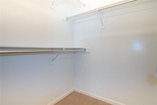 spacious closet with carpet flooring