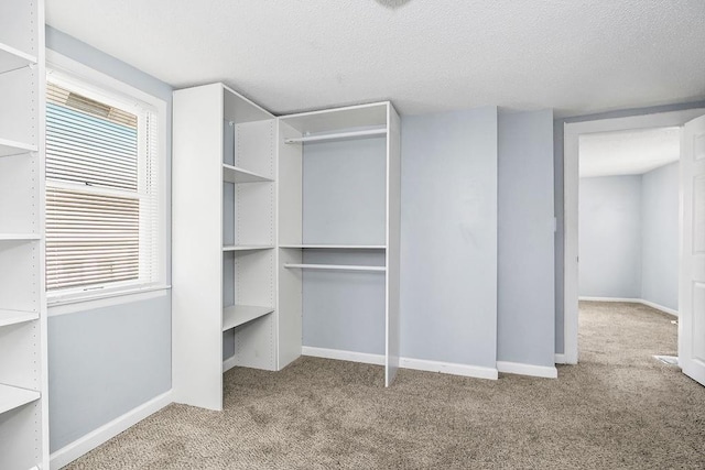 446 Montgall Ave, Kansas City, MO 64124 - walk in closet featuring carpet floors