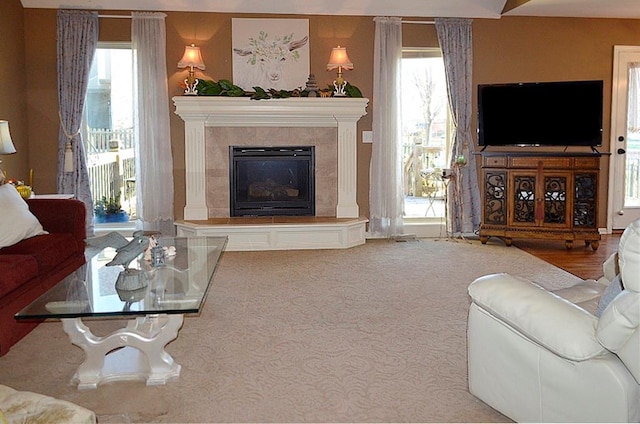 living room featuring a fireplace, a healthy amount of sunlight, and wood-type flooring