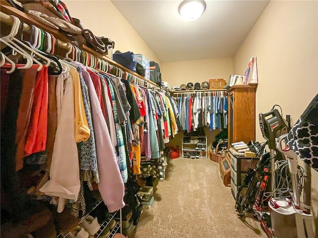 walk in closet featuring carpet flooring