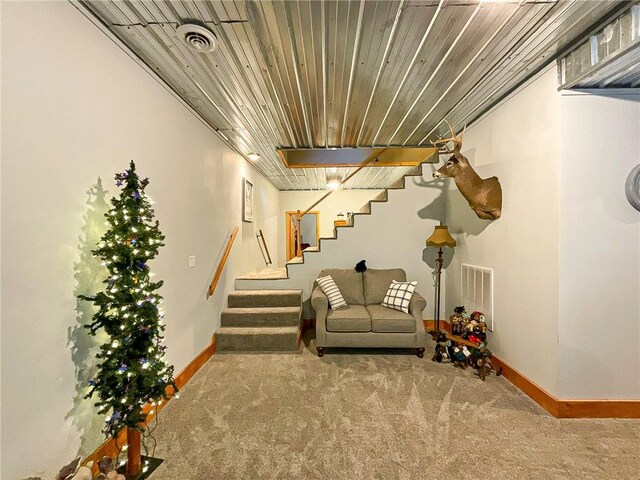 basement with carpet floors