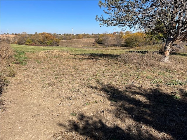 view of local wilderness featuring a rural view