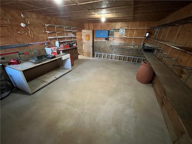 basement featuring a workshop area