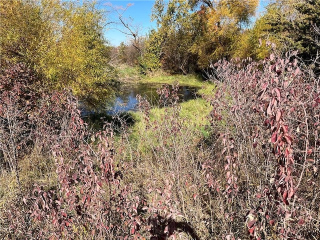 view of nature with a water view