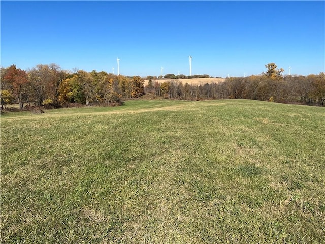 view of yard featuring a rural view