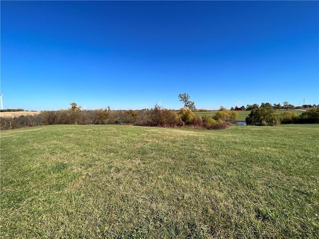 view of yard with a rural view