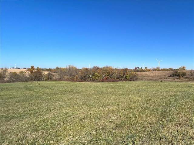 view of yard featuring a rural view