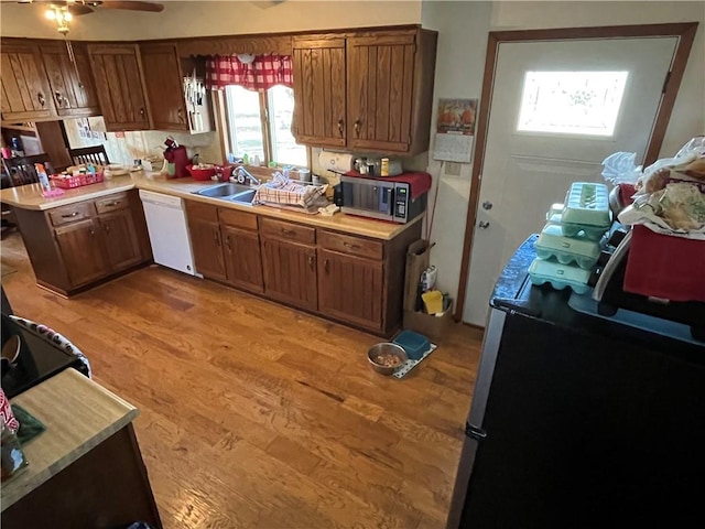 kitchen with kitchen peninsula, sink, light wood-type flooring, appliances with stainless steel finishes, and ceiling fan