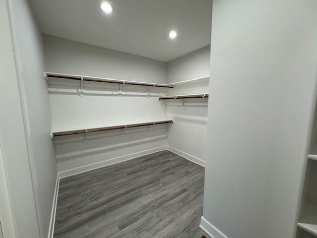 spacious closet with dark hardwood / wood-style flooring