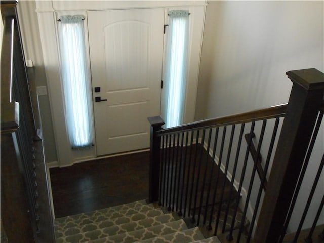 foyer with dark wood-type flooring