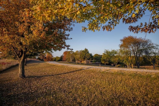 view of road with a rural view